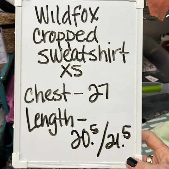 Wildfox Mint Colored “Hello Limoncello” Oversized Sweatshirt XS/L - Picture 7 of 9